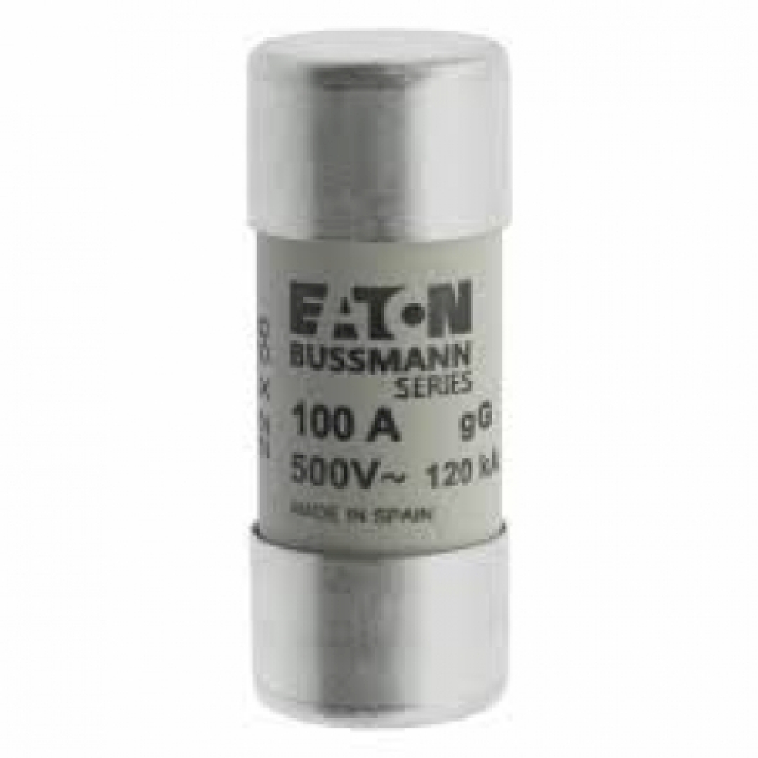 C22G100.jpg