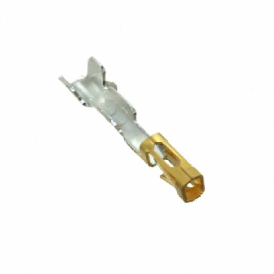 CC79R-2024-01-L.jpg