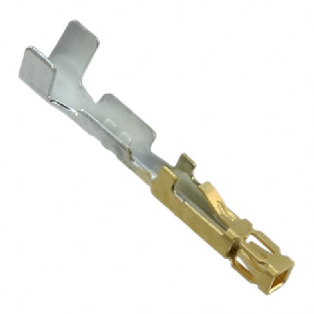 CC81L-2830-01-L.jpg