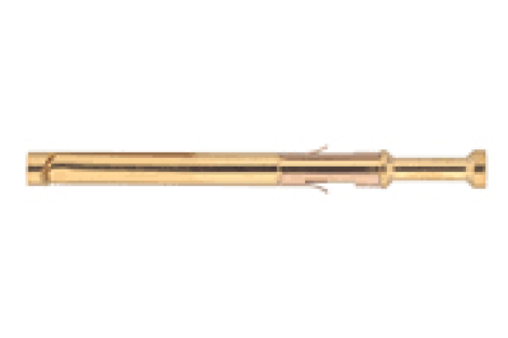 EGG.3B.661.ZZM.png