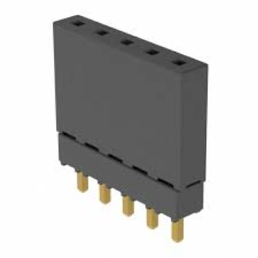 ESQ-105-12-G-S.jpg