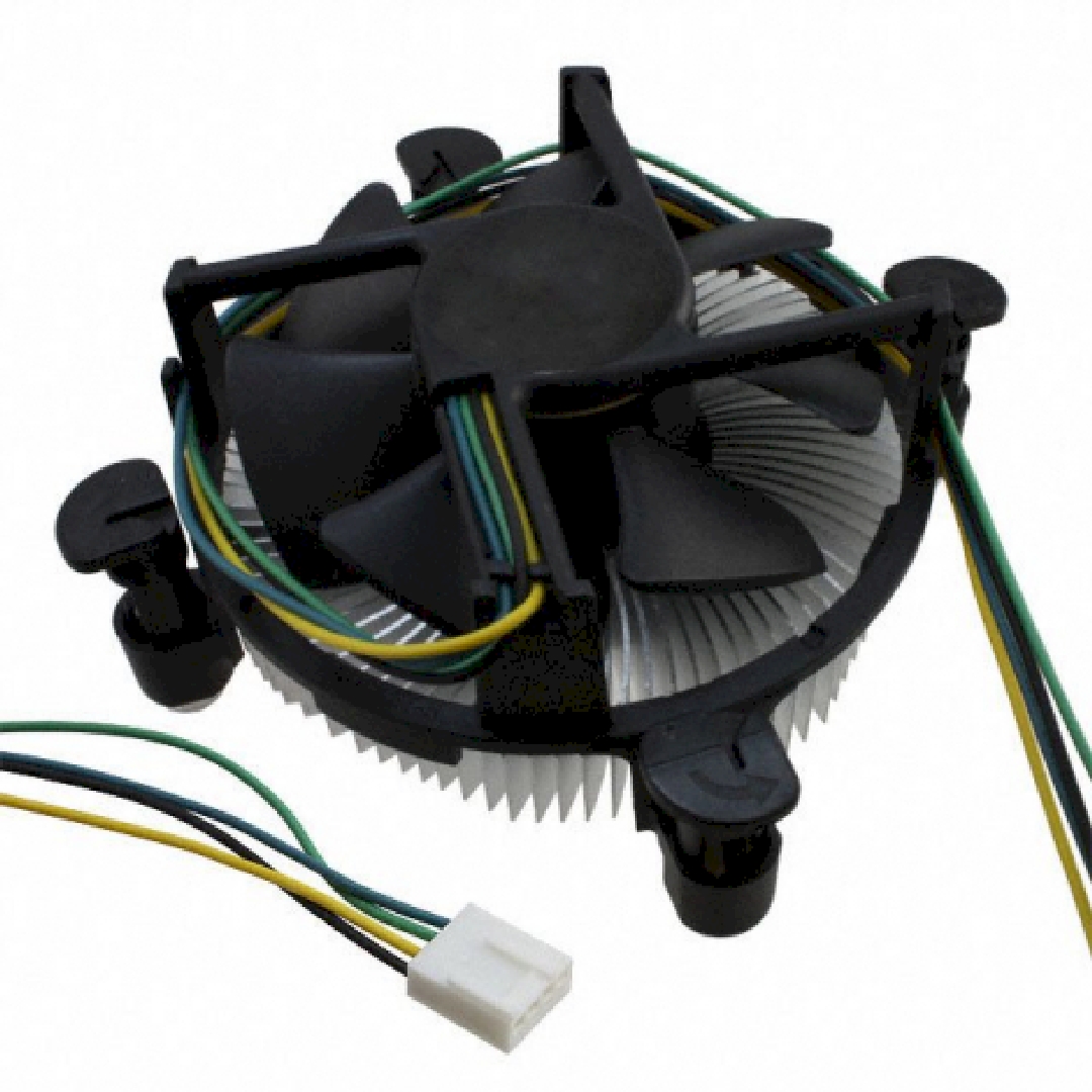 FHSA9025S19.jpg