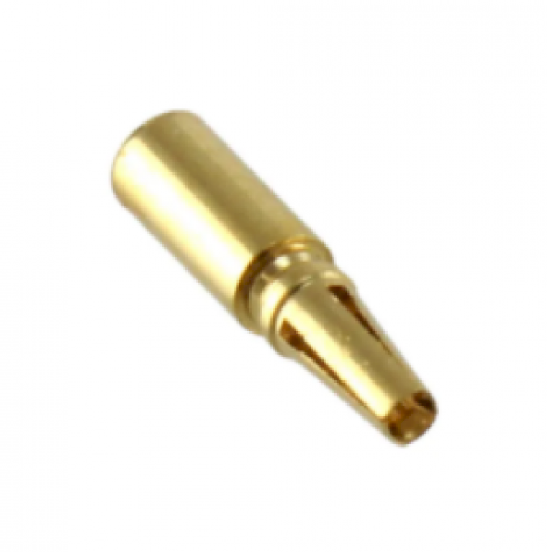 G1250020005.png