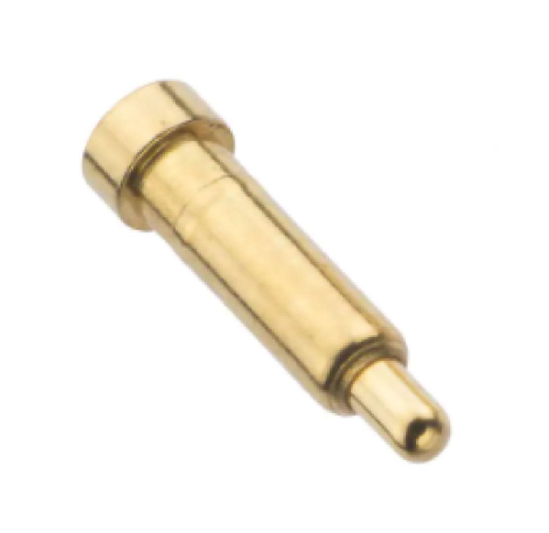 P701030045R.png