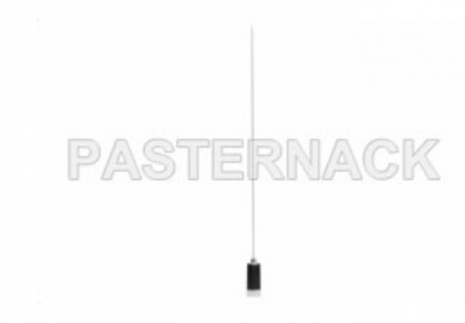 PE51000.jpg