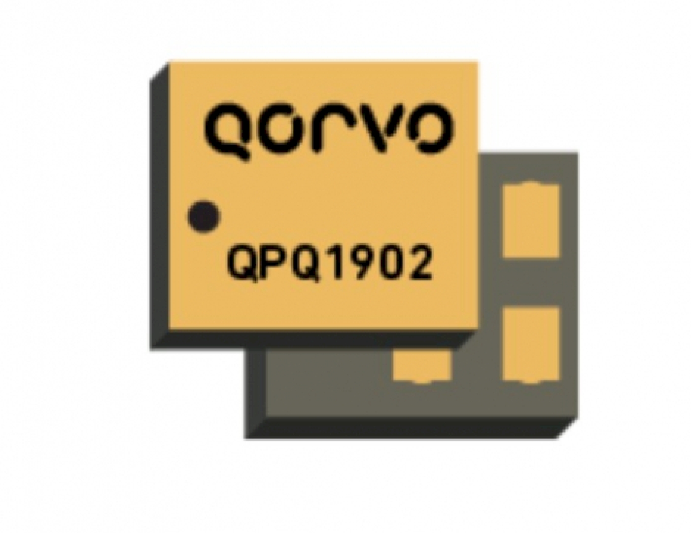 QPQ1902.jpg
