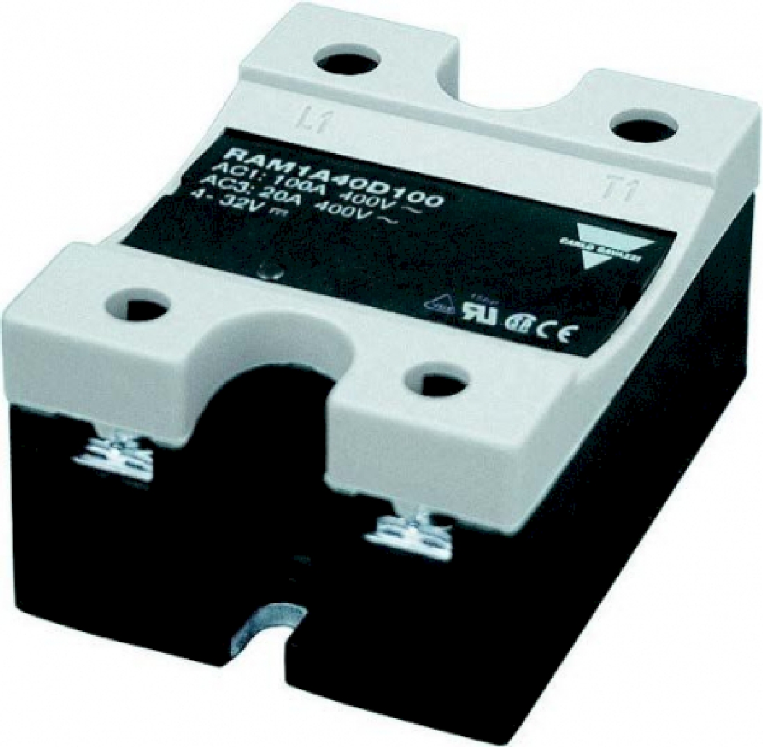 RAM1A60D100.jpg