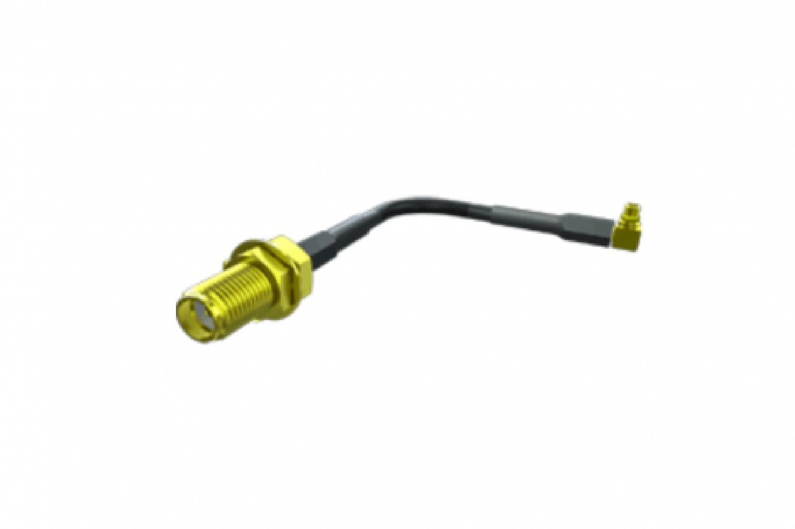 RF174-01SP1-01SP1-1000.jpg