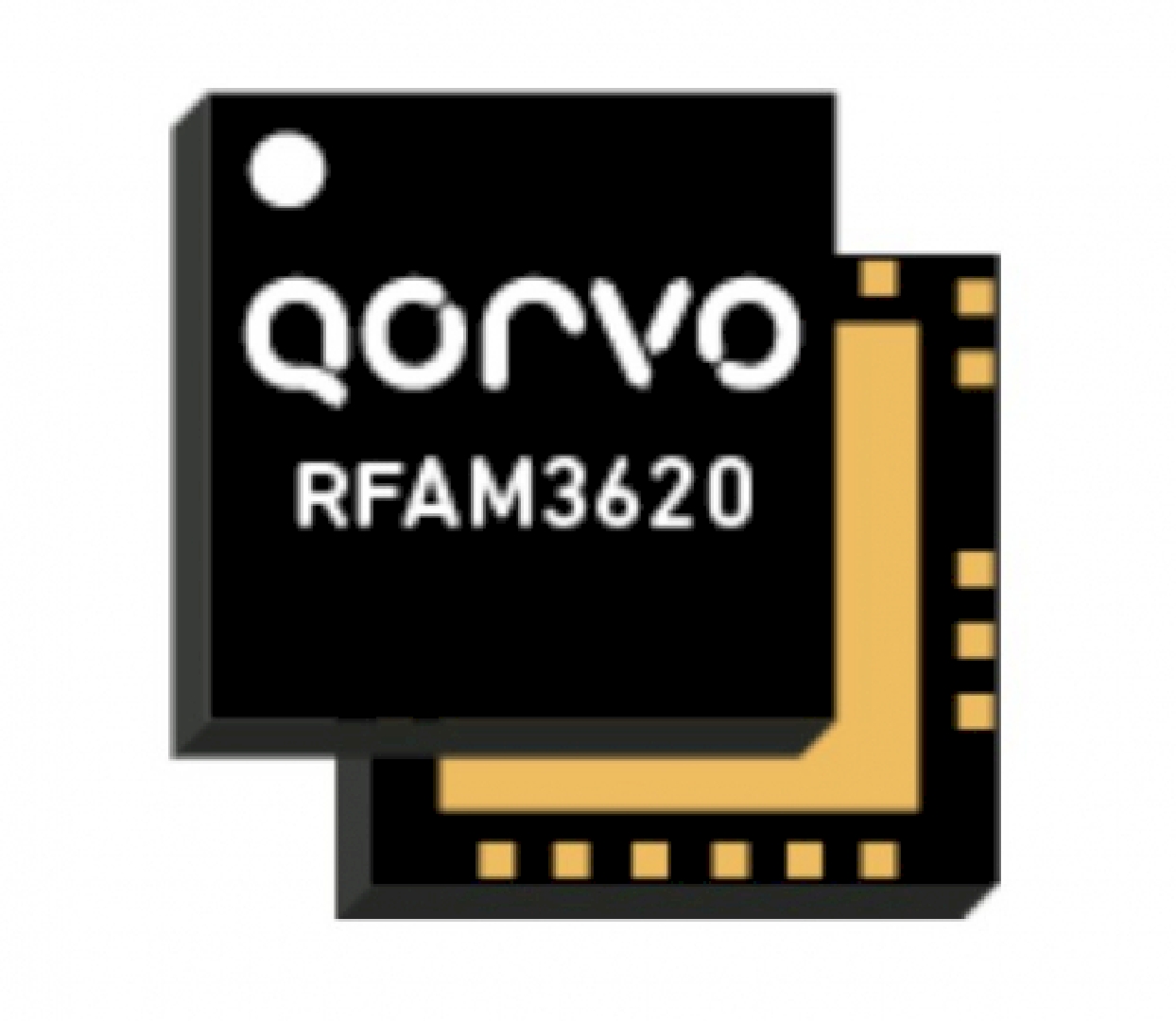 RFAM3620.jpg