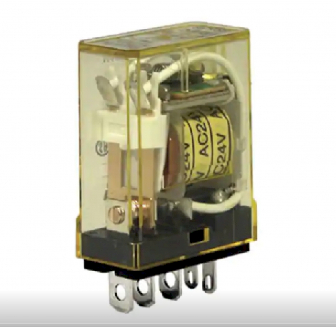 RH1BUDC24V.jpg
