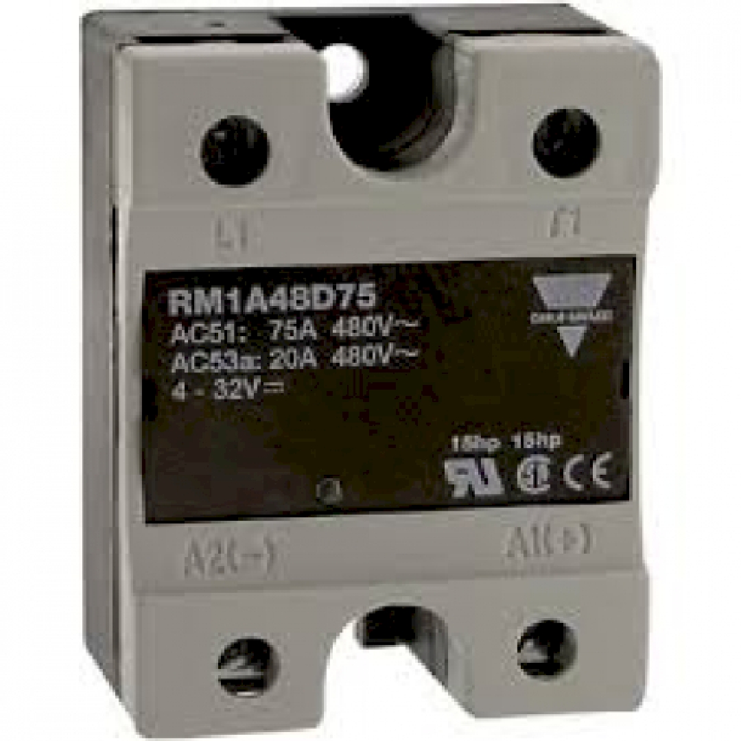 RM1A48D75.jpg