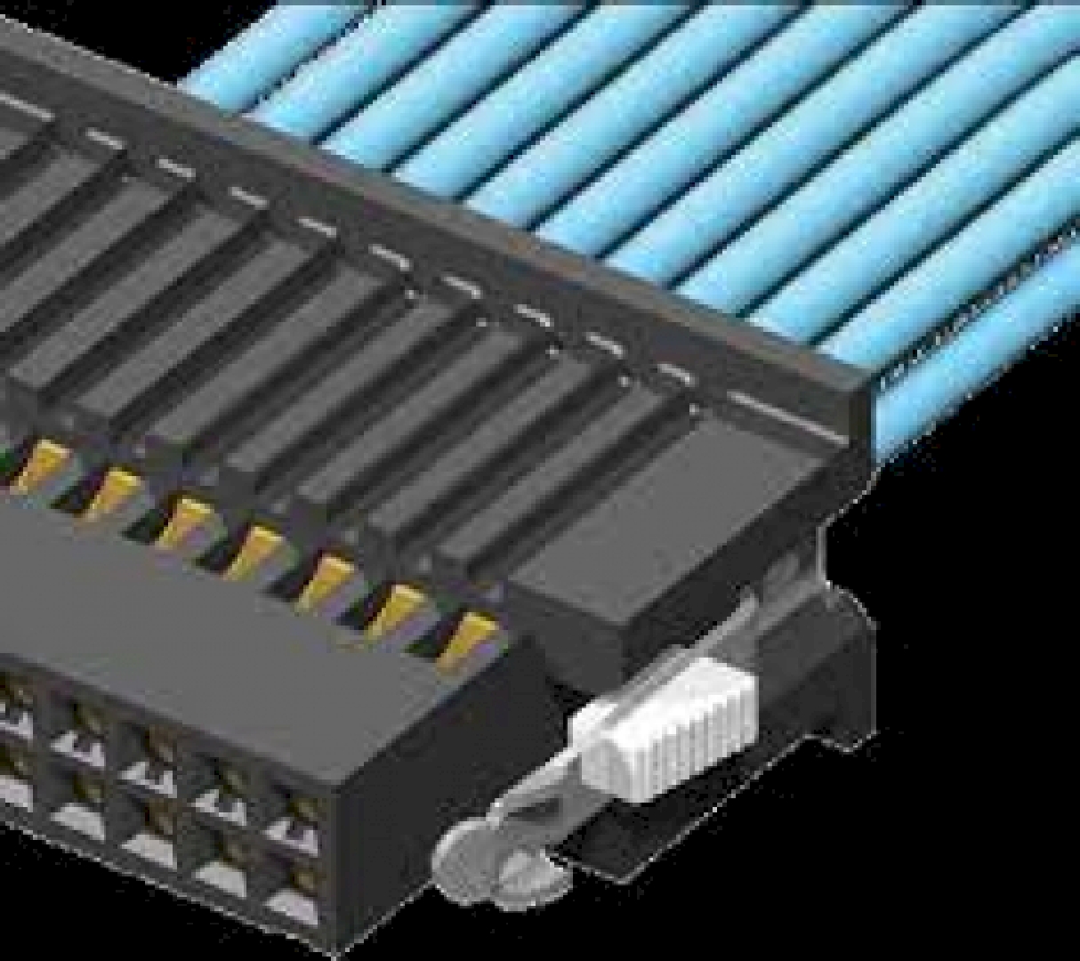 SFSD-30-28C-G-03.25-DL-NDX.jpg