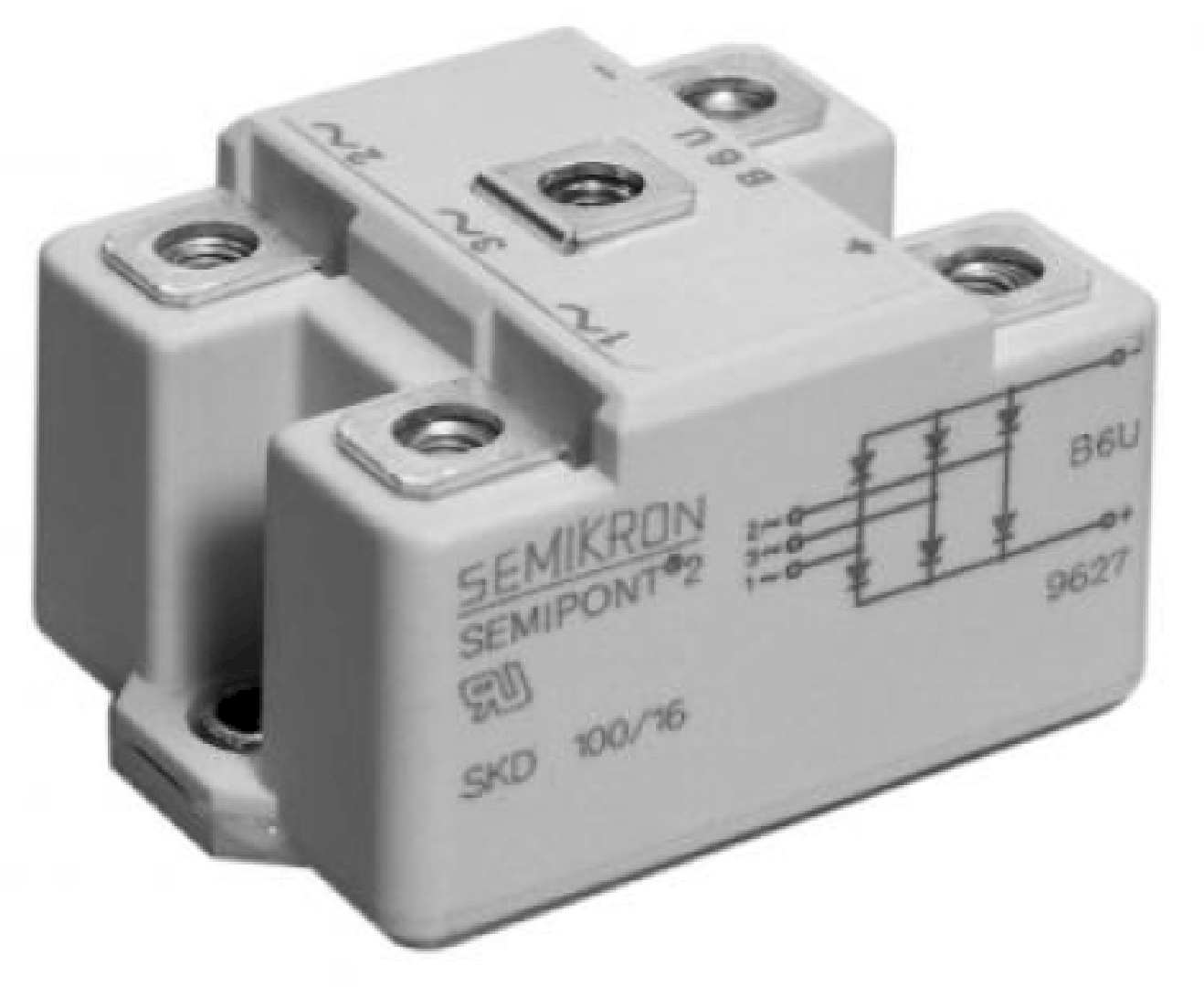 SKD100_12.jpg