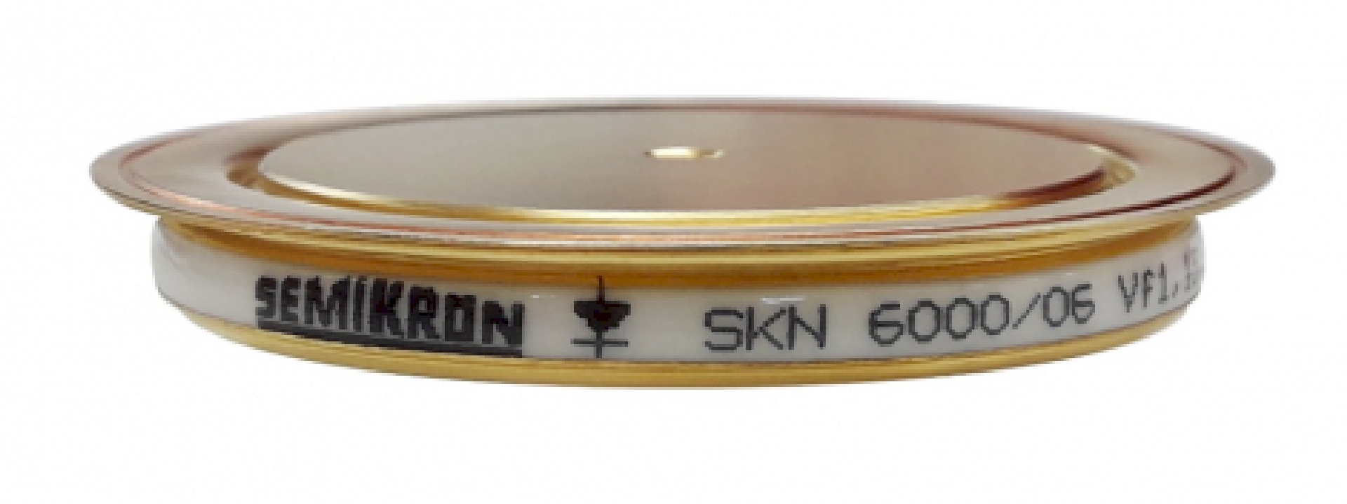 SKN6000_06.jpg