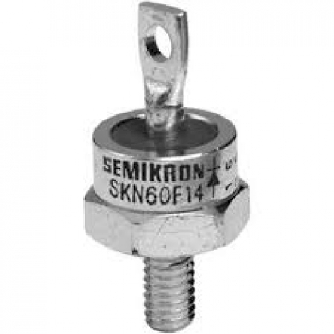 SKN60F17.jpg