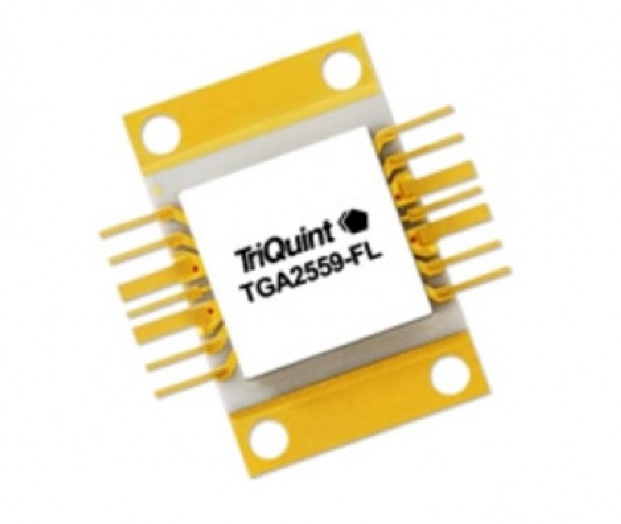 TGA2559-FL.jpg