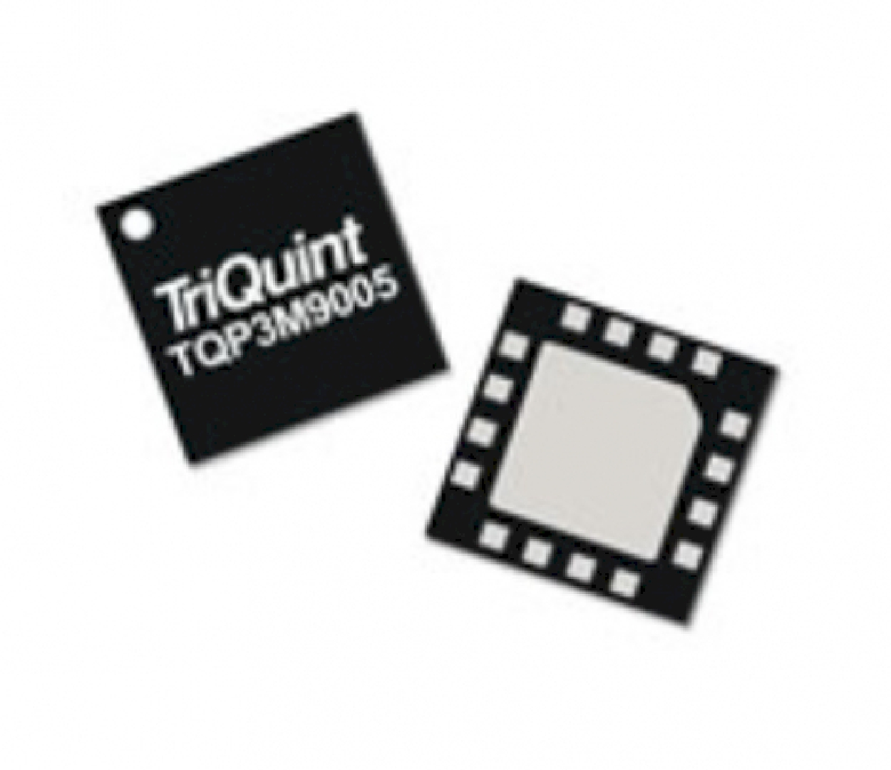 TQP3M9005.jpg