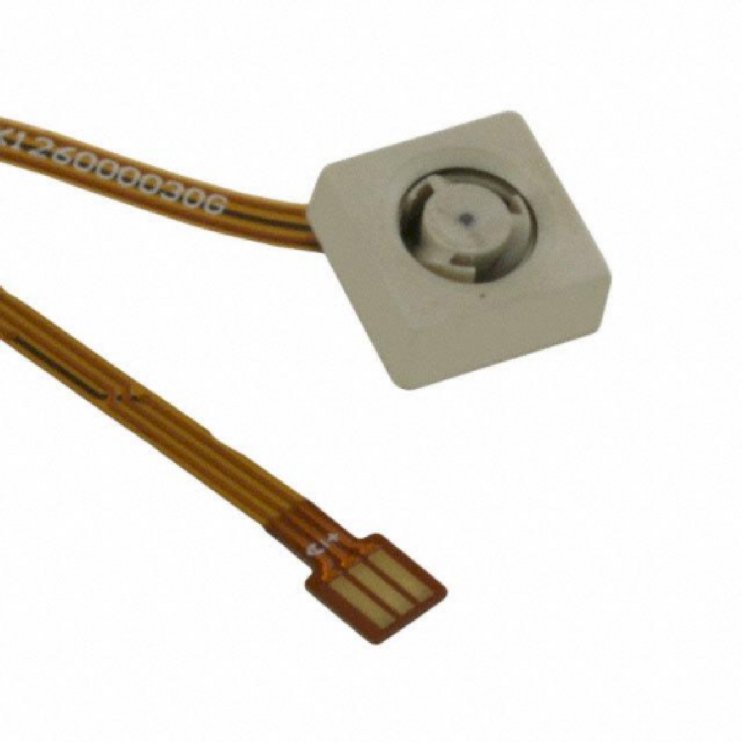 UF383100.jpg