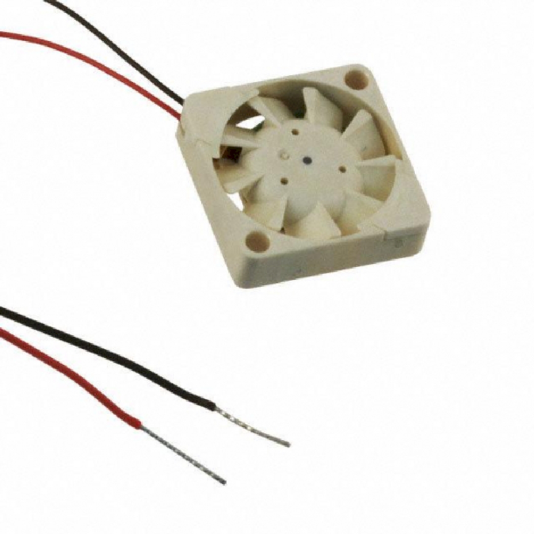 UF3C3700.jpg