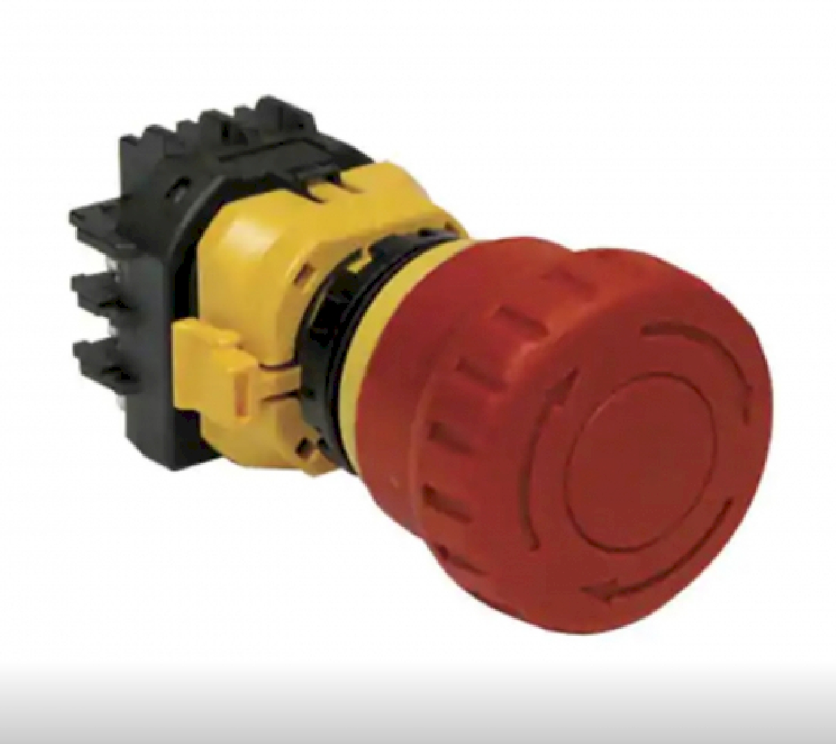 XW1EBV404MR.jpg