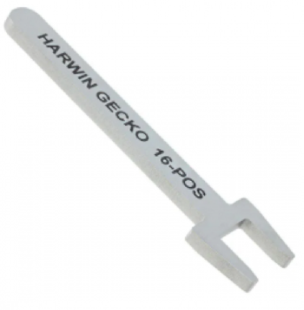 Z1259261600.png